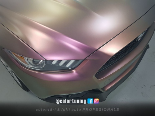 Cameleon Ford Mustang