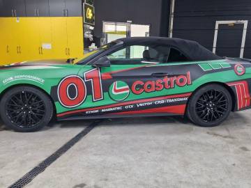 Colantare Ford Mustang 