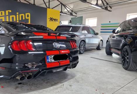 Dungi roșii Mustang Shelby București