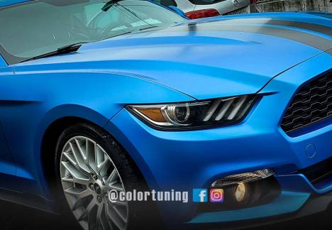 colantare ford mustang