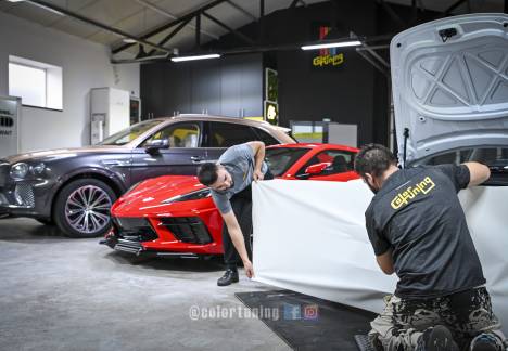 colantari auto