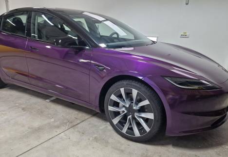 cat rezista colantul auto